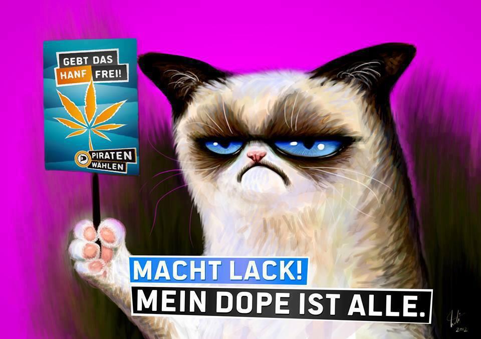 eine graue Grumpycat mit Schild in der Hand, wo drauf steht "Gebt das Hanf frei" und "Piraten wählen", unter der Katze steht "Macht Lack! Mein Dope ist alle."